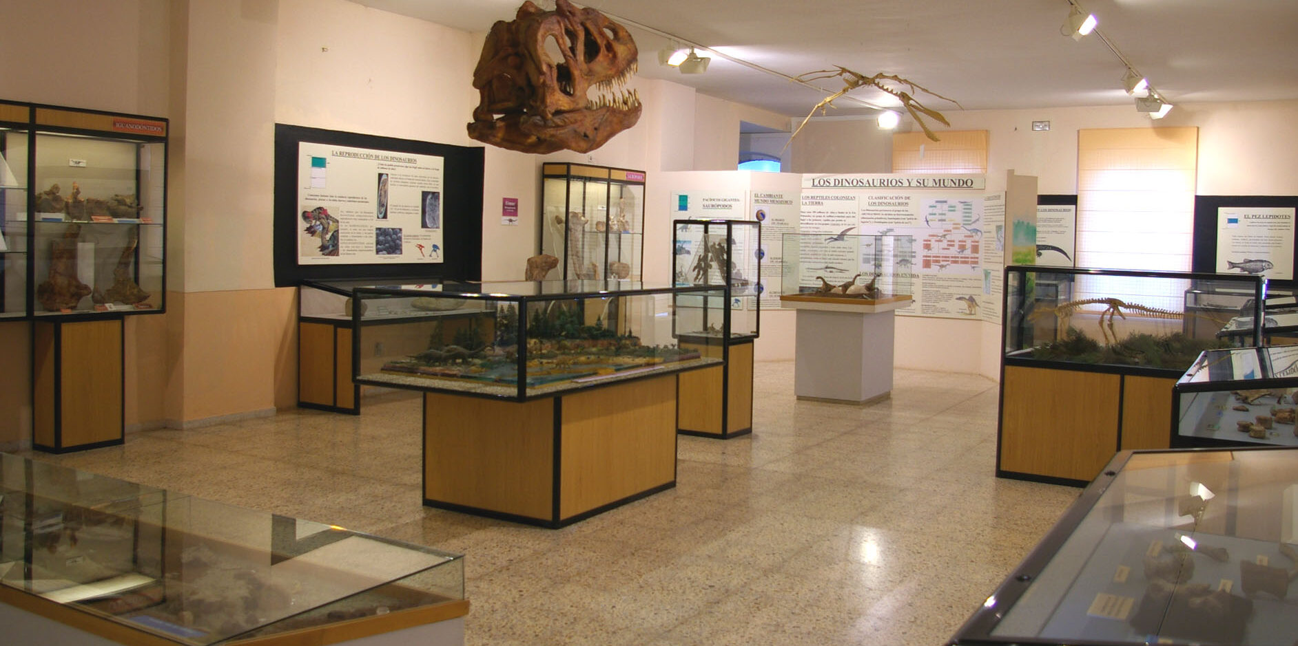MUSEO DE DINOSAURIOS		Salas de los Infantes	Burgos	Museo