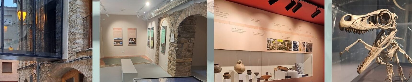 Museu de la Conca Dellà		Isona i Conca Dellà	Lleida	Museo