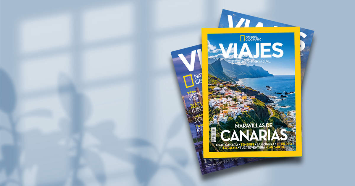 Edición especial: lo mejor de Canarias