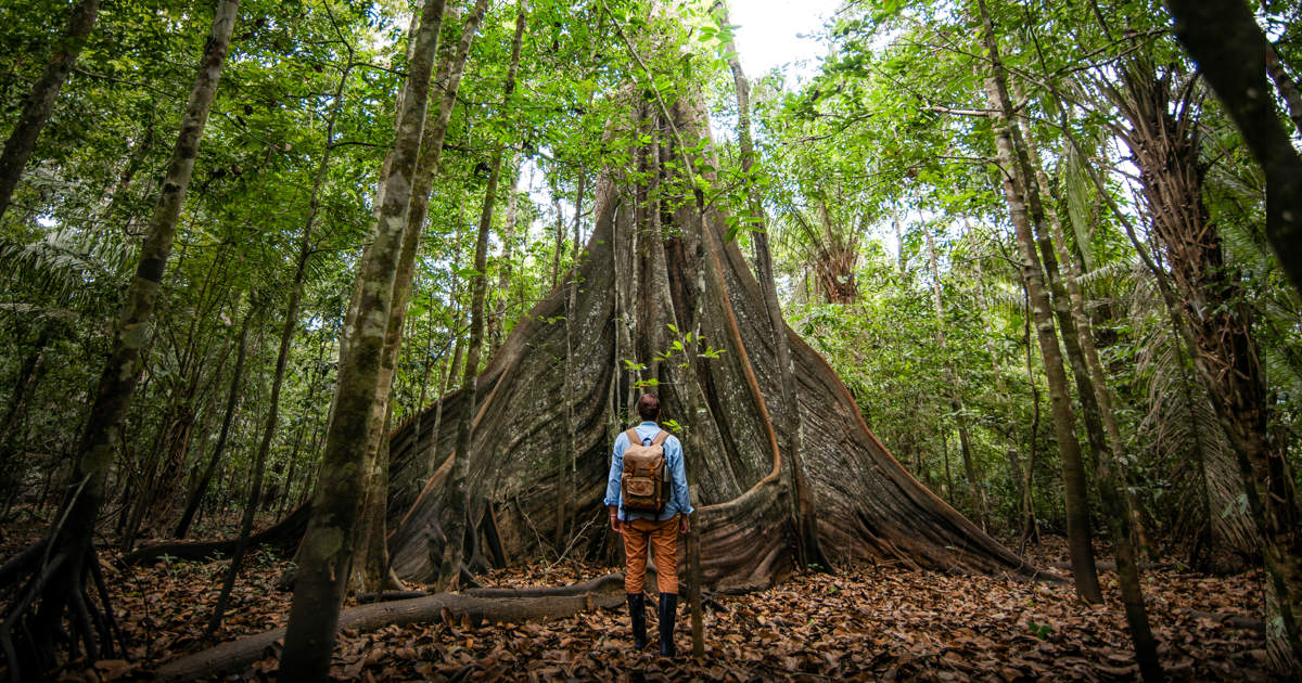 Colombia tiene Amazonas (y es impresionante)