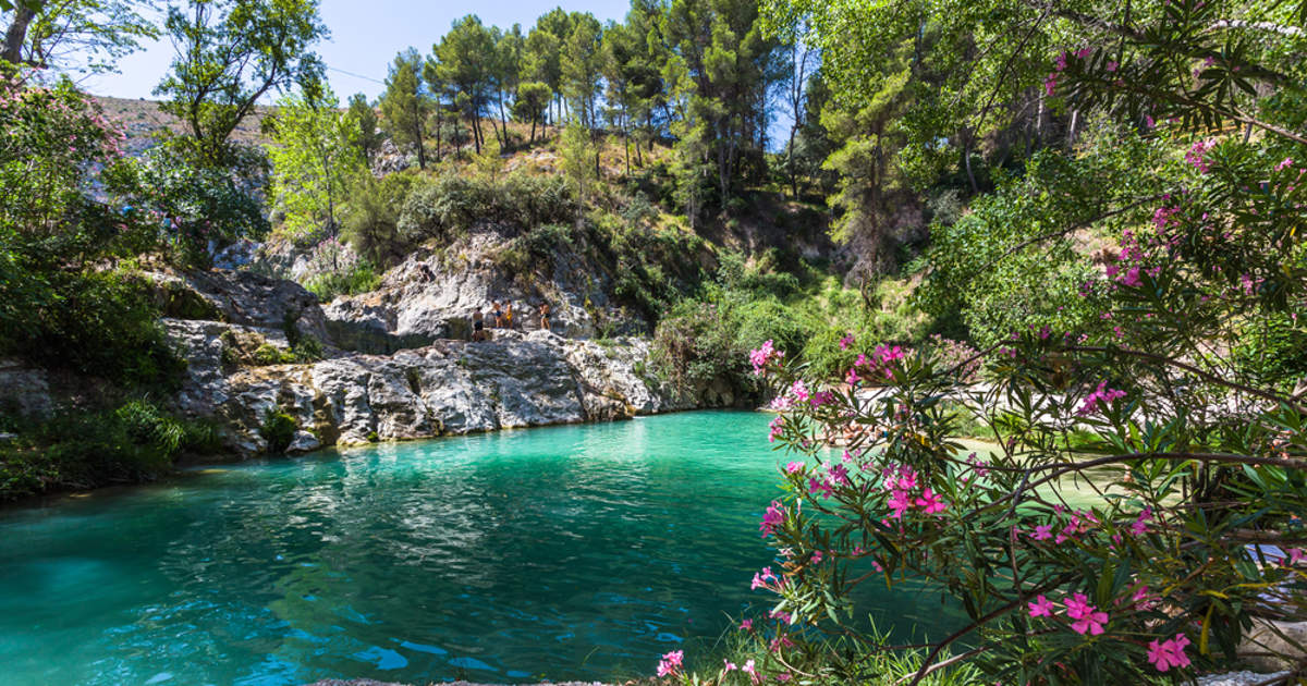 La refrescante piscina natural rodeada de flores en el interior de Valencia