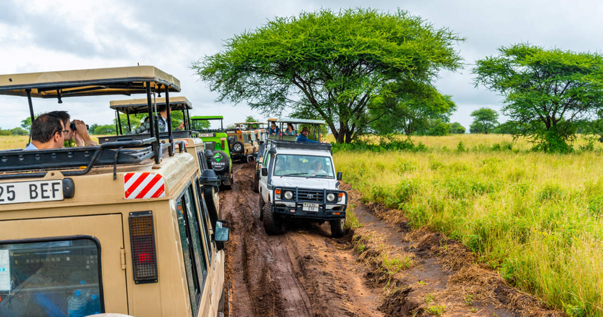 Consejos para evitar un safari masificado en África según los expertos